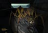 Half-Life
