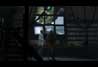 Half-Life