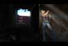 Half-Life