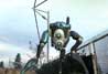 Half-Life