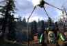 Half-Life