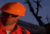 Team Fortress 2